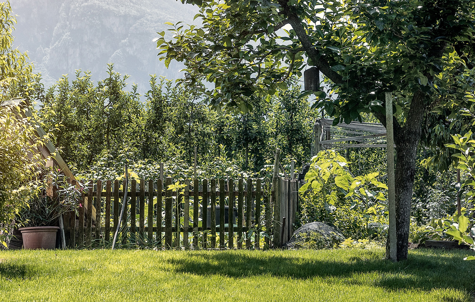 Kleingarten mit Rasenfläche vorne, Solitärgehölzen links und rechts, mittig Gartenzaun, im Hintergrund Bäume und Berge