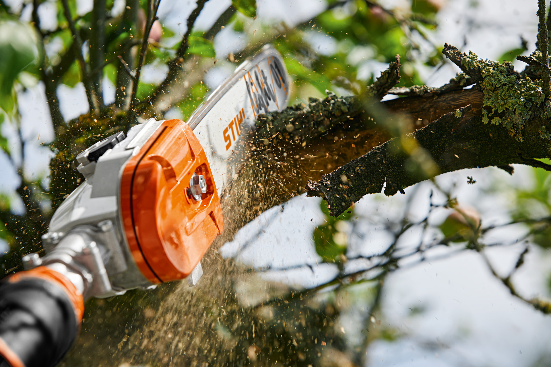 Mit einem STIHL Akku-Gehölzschneider GTA 26 wird ein Ast vom Obstbaum abgeschnitten